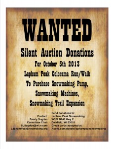 Wanted Silent Auction Items Poster