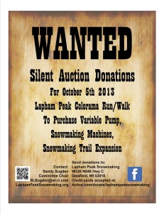 Silent Auction Items Wanted